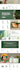 do creative flyer design