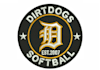 do good embroidery digitizing in 1 hour