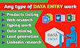 do excel data entry, web research, mining and scraping