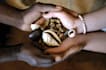 release djinn powers to bring ex lover