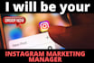 do fast organic growth, manage your business by instagram