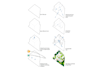 create architectural concept diagram