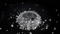 make falling luxury diamonds logo animation