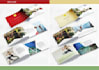 design flyer, brochure, car wrap, label and packaging