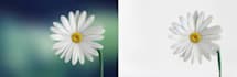 professionally remove background, merge and resize images