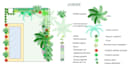 draw a planting plan