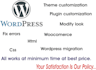 fix wordpress website issues