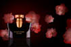 do digital imaging and picture editing