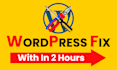 fix wordpress issues, woocommerce bugs, and errors in 6 hours
