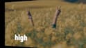 do vip professional video editing in 24 hours