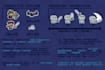 create cool pixel art characters for you and animate them