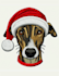 do embroidery digitizing into dst, pes, jef, emb files in 1 hour