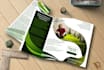 design eco friendly  green environment natural flyer and poster