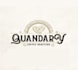 design quandary coffee roasters logo in 1 day