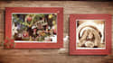 create a christmas and new year video greeting with your photos
