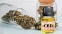 do monthly SEO for cbd vape, cannabis, marijuana