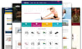 develop and do any customization your nopcommerce project