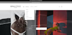 build your shopify online shop, shopify store