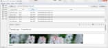 create anki flashcards and sets for any topic