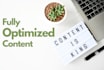 write SEO friendly website content and blogs