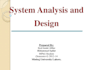 do all tasks on system analysis and design
