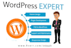 make the best wordpress expert developer for you