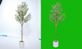 do background removal service