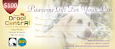 design a gift certificate, coupon, gift card, or voucher