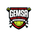 design stunning softball logo with my best skill