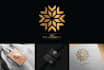 design a combination mark logo in just 36 hrs
