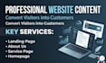 write seo friendly blog articles and engaging website content for you