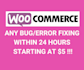 build an ecommerce website using woocommerce