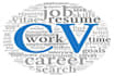 do professionally cv, resume writing and cover letter