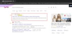 do local SEO and google business profile optimization for small business