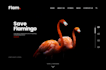 design a stunning website in wordpress