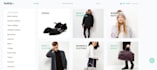 develop a custom shopify store with responsive design