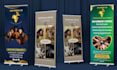design vinyl banner, poster
