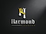design modern 3d business logo design