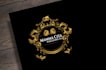 design freestyle business logo and branding