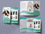design corporate business medical brochure trifold catalog flyer