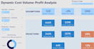 do financial forecast, ratio analysis and graphical representation of businesses