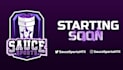 make custom mascot ,twitch , esports logo animation
