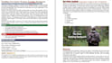 write SEO blog posts and articles for websites