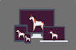 build custom websites with HTML, CSS, bootstrap, and jquery