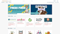 develop a fully custom wordpress website for your business