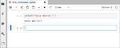 tutor and teach or help you to learn java, c, cpp, python with mini projects