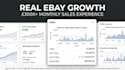 manage your ebay store as your expert ecommerce growth partner