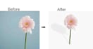 professionally remove background from image, cut out photos