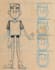 design a 2d character sheet