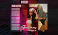 design a professional epk or press kit for artists